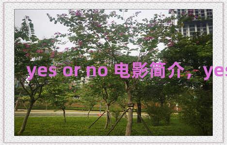 yes or no 电影简介，yes or no影评